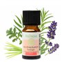 Synergie d’Huiles Essentielles Revitalisante - Mélange Huiles Essentielles 100% Pure et Naturelle - Utilisation en Diffusion pou