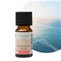 Synergie d’Huiles Essentielles Revitalisante - Mélange Huiles Essentielles 100% Pure et Naturelle - Utilisation en Diffusion pou
