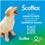 Scottex Lot de 36 rouleaux de papier toilette