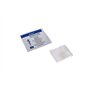 Tampons Alcool 30 X 65 mm Écouvillon Alkoholpads Divers Quantités (500 Pièces)