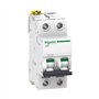 Schneider Electric A9F74216 IC60N Disjoncteur Acti9 2P 16 A Courbure C 50/60 Hz Blanc