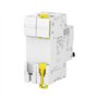 Schneider Electric A9F74216 IC60N Disjoncteur Acti9 2P 16 A Courbure C 50/60 Hz Blanc