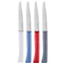 Opinel - Coffret 4 Couteaux de Table Bon Appétit+ Primo - Lame Denture Velours INOX - Manche Confort - Fabrication Française - B