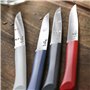 Opinel - Coffret 4 Couteaux de Table Bon Appétit+ Primo - Lame Denture Velours INOX - Manche Confort - Fabrication Française - B