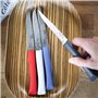 Opinel - Coffret 4 Couteaux de Table Bon Appétit+ Primo - Lame Denture Velours INOX - Manche Confort - Fabrication Française - B