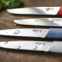 Opinel - Coffret 4 Couteaux de Table Bon Appétit+ Primo - Lame Denture Velours INOX - Manche Confort - Fabrication Française - B