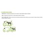 Kit de Surveillance sans Fil RWEC100H BEEPER