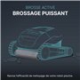 Dolphin Pièce détachée Ensemble de Brosse Active S1, Gris - Référence 9995544-ASSY