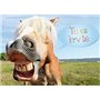 Edition Colibri (10619 FR 10 invitations en Français Cheval drôle: lot de 10 cartes d'invitation tendres et illustrées avec un c
