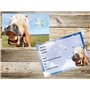 Edition Colibri (10619 FR 10 invitations en Français Cheval drôle: lot de 10 cartes d'invitation tendres et illustrées avec un c