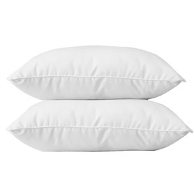Lot de 2 oreillers 60 x 60 cm Blanrêve Gamme Microfibre Douceur traité Anti Acarien Lot de 2 oreillers 60 x 60 cm Blanrêve Gamme Microfibre Douceur traité Anti Acarien