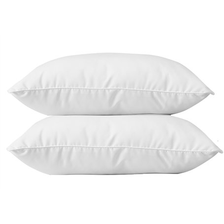 Lot de 2 oreillers 60 x 60 cm Blanrêve Gamme Microfibre Douceur traité Anti Acarien