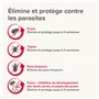 Beaphar – FIPROTEC Combo au Fipronil et (S)-Méthoprène dosés à 50 mg/60 MG – Solution Spot-on pour Chats et furets (>1kg) – Agit