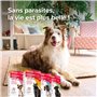 Beaphar – FIPROTEC Combo au Fipronil et (S)-Méthoprène dosés à 50 mg/60 MG – Solution Spot-on pour Chats et furets (>1kg) – Agit