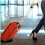 ZoomSky Etiquettes Valise Avion en Aluminium avec Cordes en Acier Inoxydable Pour Voyage Identifier