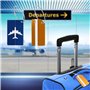 6 Pcs Étiquette Bagage, ZoomSky Etiquettes Valise Avion en Aluminium avec Cordes en Acier Inoxydable Pour Voyage Identifier