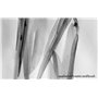 ProGraphite d'artiste I 125 g I Gris I Graphite naturel I Poudre d'artiste I Graphite naturel pour dessiner l'ombrage, etc. I Po