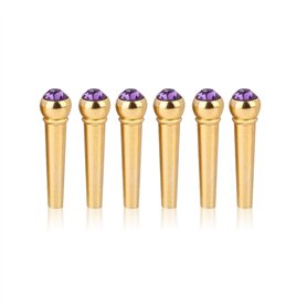 6 Pcs Guitare Pont Broches