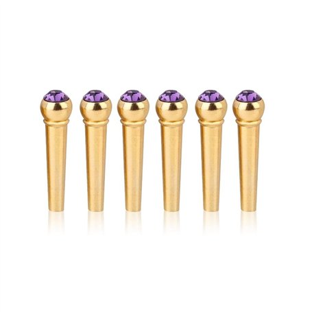 6 Pcs Guitare Pont Broches