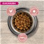 Eukanuba Chien Senior Nourriture sèche Pour Grande Race Poulet 15kg