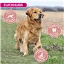 Eukanuba Chien Senior Nourriture sèche Pour Grande Race Poulet 15kg