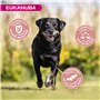 Eukanuba Chien Senior Nourriture sèche Pour Grande Race Poulet 15kg