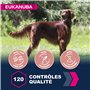 Eukanuba Chien Senior Nourriture sèche Pour Grande Race Poulet 15kg