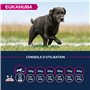 Eukanuba Chien Senior Nourriture sèche Pour Grande Race Poulet 15kg