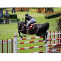 équitation English Whip