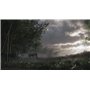 Ghost of Tsushima [PlayStation 4]