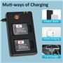 DSTE 2PCS EN-EL19 ENEL19 (1300mAh/3.7V) Batterie Chargeur Compatible pour Nikon Coolpix S2500, S2600, S2750, S3100, S3200, S3300