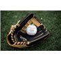 Rawlings Gloves & Mitts Gants et Mitaines de Baseball Unisexe, Multicolore, Taille Unique