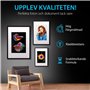 Smart Ink Cartouche d’Encre Compatible pour HP 364 XL 364XL High Yield 10 Pack (2 Noir & 2PBK Cyan Magenta Jaune) pour HP Photos