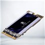 Shark M.2 2242 SSD 250 Go Ngff Ordinateurs De Bureau à l'intérieur De l'actionneur à Solide De Haute Performance De Lecteur De D