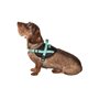 Bobby Harnais Easy Safe pour Chien Rouge Autre