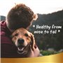 Spray Répulsif Naturel Contre Puces, Tiques, Moustiques - à l'huile de Neem pour Chiens et Chats - Protection Contre Ácaros, Mit