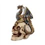 Nemesis Now Figurine avec Prise du Dragon Blanc 22