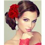 iwobi 2 Pièces Rose Pince À Cheveux Fleur Femmes Rose Fleur, Accessoire Casque pour Les Femmes Filles Mariage Nuptiale (Rouge)