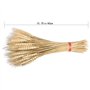 HUAESIN 100pcs Blé Séché Bouquets de Blé Séché Naturel Decoration Blé Naturel Seché Fleurs Sechees Naturelles Decoration pour Ba