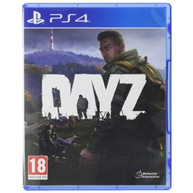DayZ