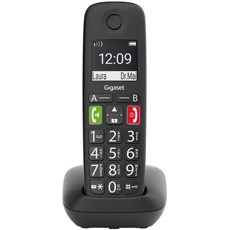 Gigaset E290 Duo Terminal téléphonique analogique avec Identification de l'appelant Noir E290 Duo