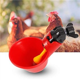 Bicaquu Abreuvoir Poules