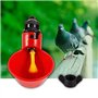 5pcs Poulet Oiseaux automatiques abreuvoirs Bols de Tasse d'eau Potable(03)