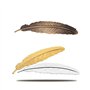 Marque-pages en Plumes,9 pack Marque-pages Signets en Métalliques Créatifs Cadeau Forme de Plume Signet en Laiton pour Adultes e