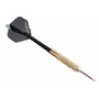 Masterdarts Cible de fléchettes avec 6 fléchettes - Tableau de fléchettes Ø45cm - Fléchettes à Pointe métallique - Cible en lièg