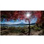 TTArtisan Objectif d'appareil photo Full Fame Fisheye 11 mm F2.8 compatible avec les appareils photo Canon R Mount comme EOSR EO