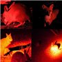 Lampe de Poche Rouge, WESLITE Lampe Torche de Chasse avec Torches de Signal de Lumière Rouge Lampe de poche Tactique Rouge Zooma