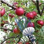Pince avec Panier en Acier Inoxydable pour Fruits Pomme O
