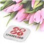 SPARES2GO Lot de 5 Sacs à Poussière compatible avec Titan 16L 20L 30L 40L Aspirateur + Pastilles Désodorisantes