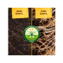 SOLABIOL Engrais Rosiers Et Arbustes A Fleurs | 750g | Nutrition Longue Durée | Fertilisation Douce Et Régulière SOROSY750